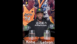看懂了吗？另类方式对比詹姆斯和科比