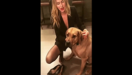 羡慕吗？雄鹿老板的千金与爱犬